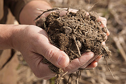 Soil Testing